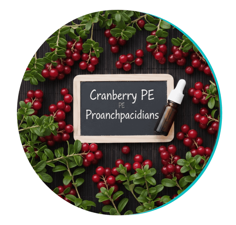 biodentex™-ingredient6-cranberries