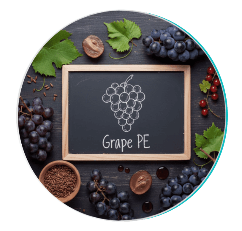biodentex™-ingredient4-grape-seed-extract