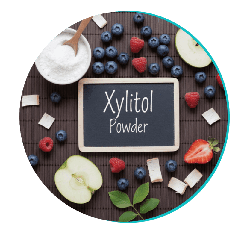 biodentex™-ingredient1-xylitol-powder